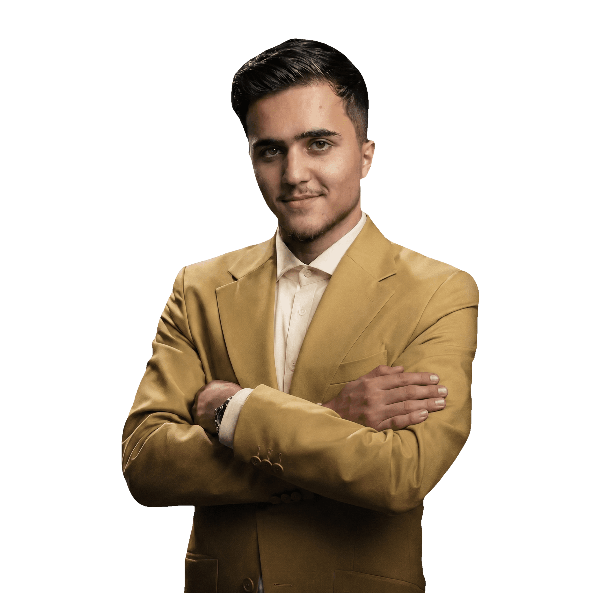 Alan Bibani, Bibani Solutions